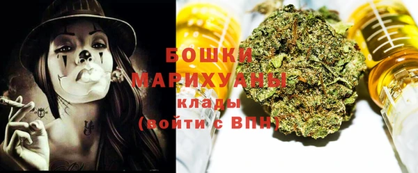 ECSTASY Покачи