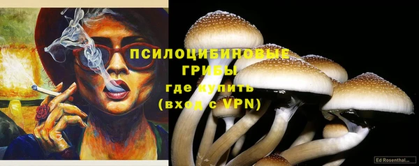 ГАЛЛЮЦИНОГЕННЫЕ ГРИБЫ Пролетарск